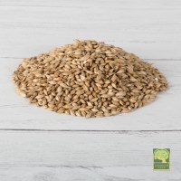 Laverock Bird food - Barley-1